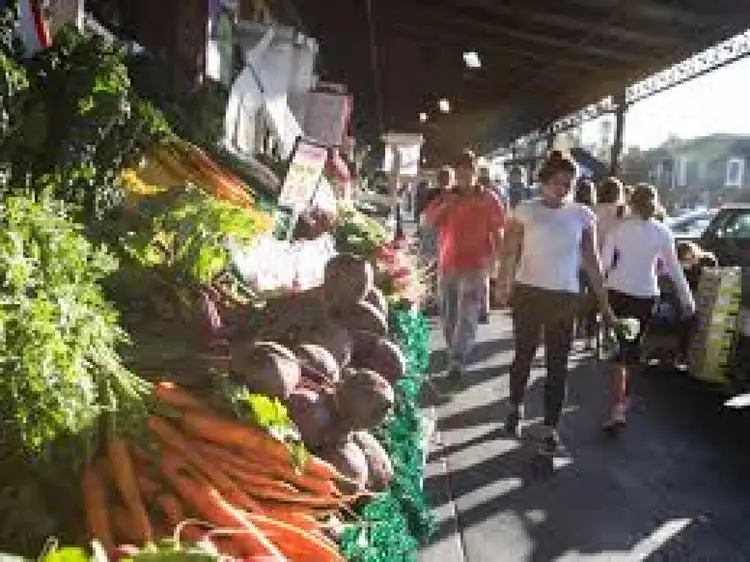 Address available on request