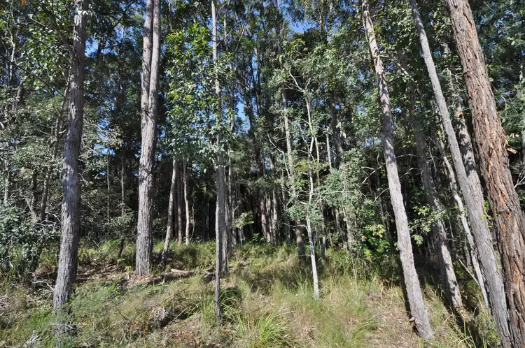 Second view of Homely land listing, 24 Rosella Drive, North Macksville NSW 2447
