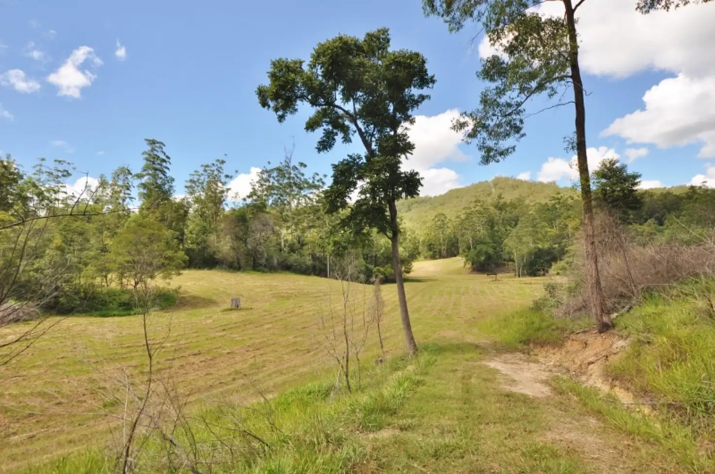 Main view of Homely rural property listing, 159 McHughs Creek Road, Bowraville NSW 2449