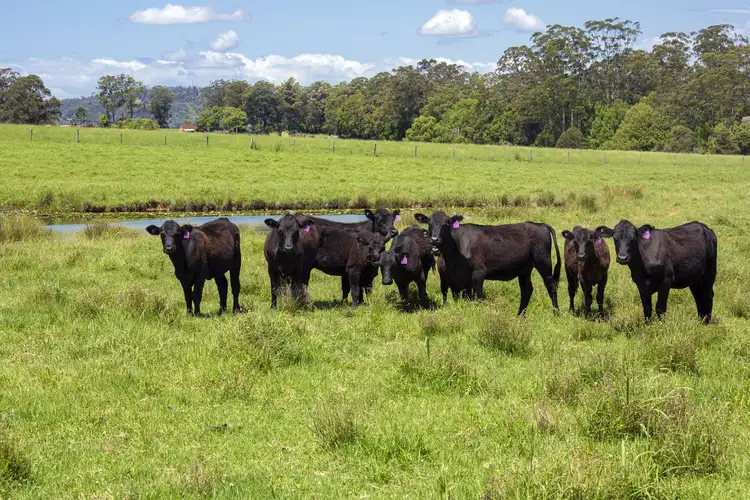 Third view of Homely rural property listing, 1841 Valla Road, Bowraville NSW 2449