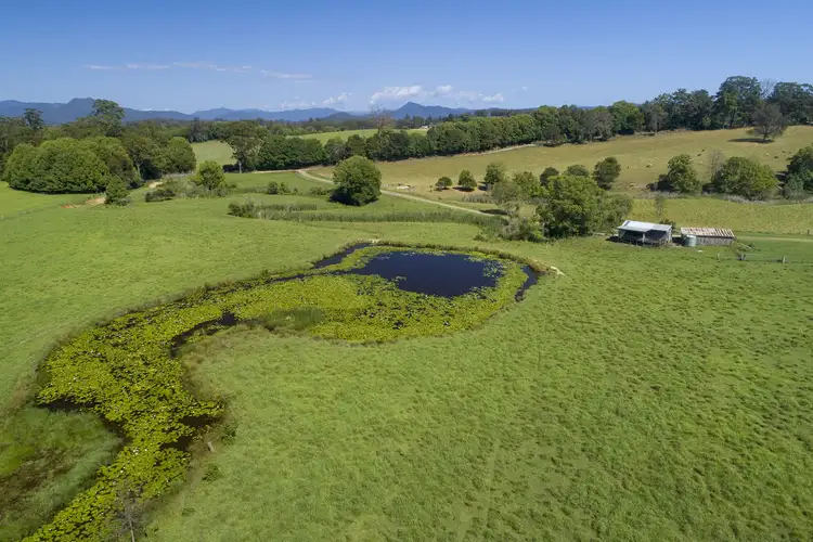 Fifth view of Homely rural property listing, 1841 Valla Road, Bowraville NSW 2449