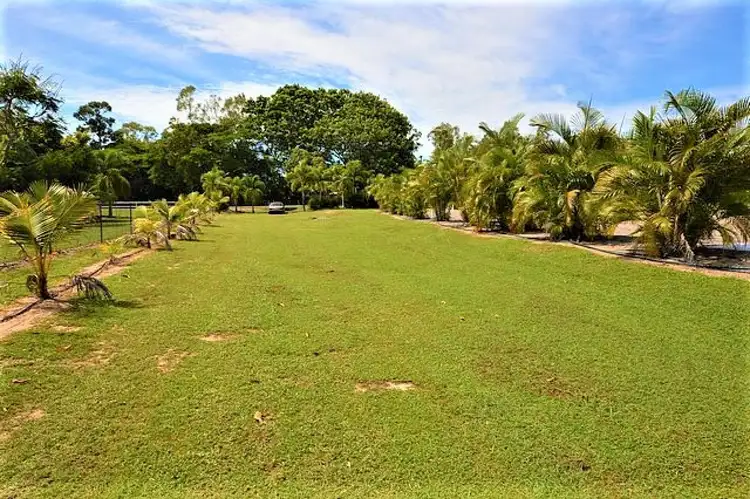 Main view of Homely house listing, 31 Salamander Street, Bluewater QLD 4818
