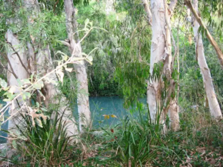 Second view of Homely house listing, 38 Toolakea Beach Road, Bluewater QLD 4818