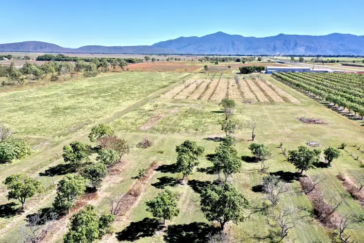 Third view of Homely house listing, 18 Bartlett, Horseshoe Lagoon QLD 4809