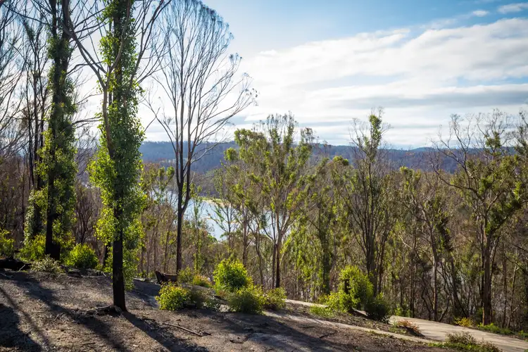 Sixth view of Homely land listing, 3 Thompson Drive, Tathra NSW 2550