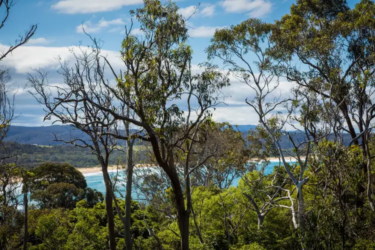 Sixth view of Homely house listing, 8-10 Beach Street, Tathra NSW 2550