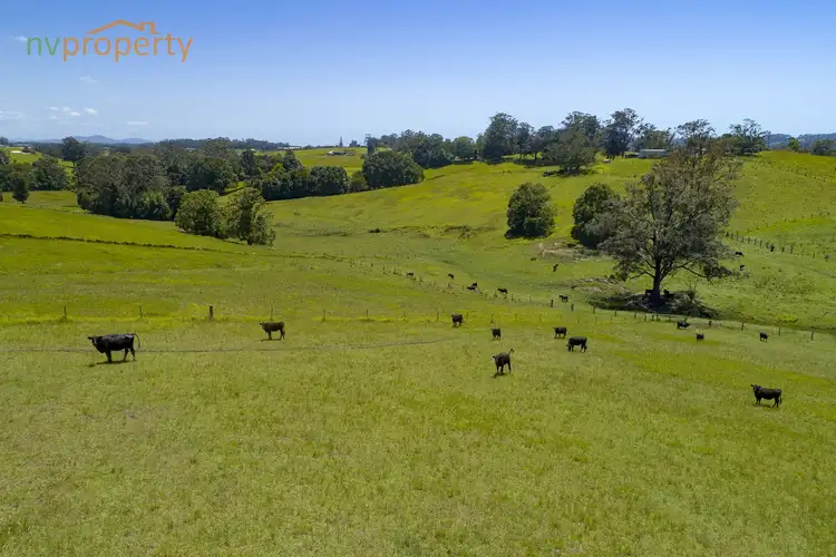 Third view of Homely rural property listing, 586 Upper Warrell Creek Road, Congarinni NSW 2447