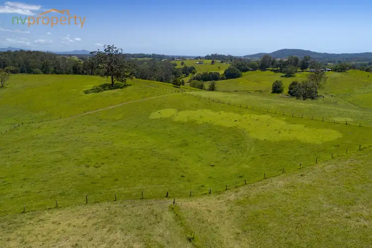 Fifth view of Homely rural property listing, 586 Upper Warrell Creek Road, Congarinni NSW 2447