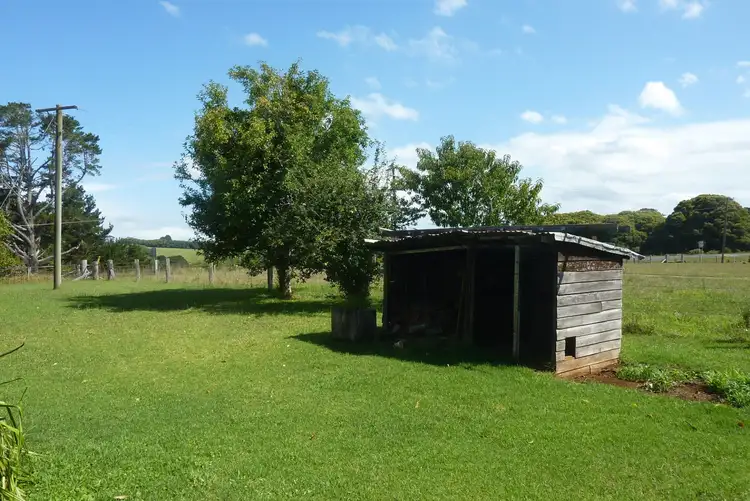 Seventh view of Homely other listing, 4250 Waterfall Way, Dorrigo NSW 2453