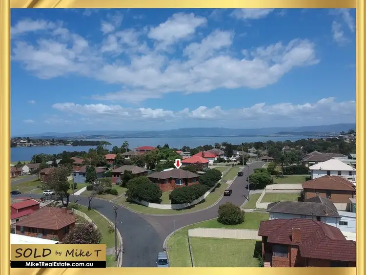 64 Lee Street, Warrawong NSW 2502