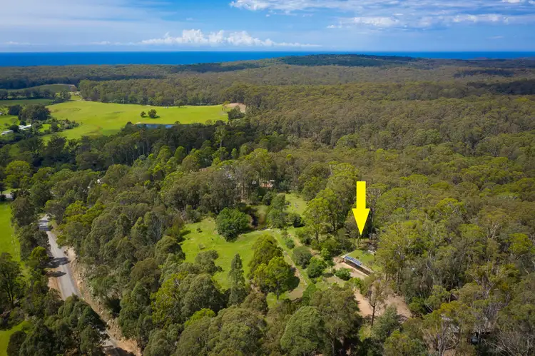 51 Doctor George Mountain Road, Tanja NSW 2550