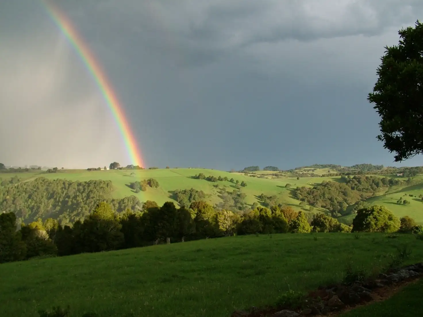 Main view of Homely house listing, 182 Nashs Road, Dorrigo NSW 2453