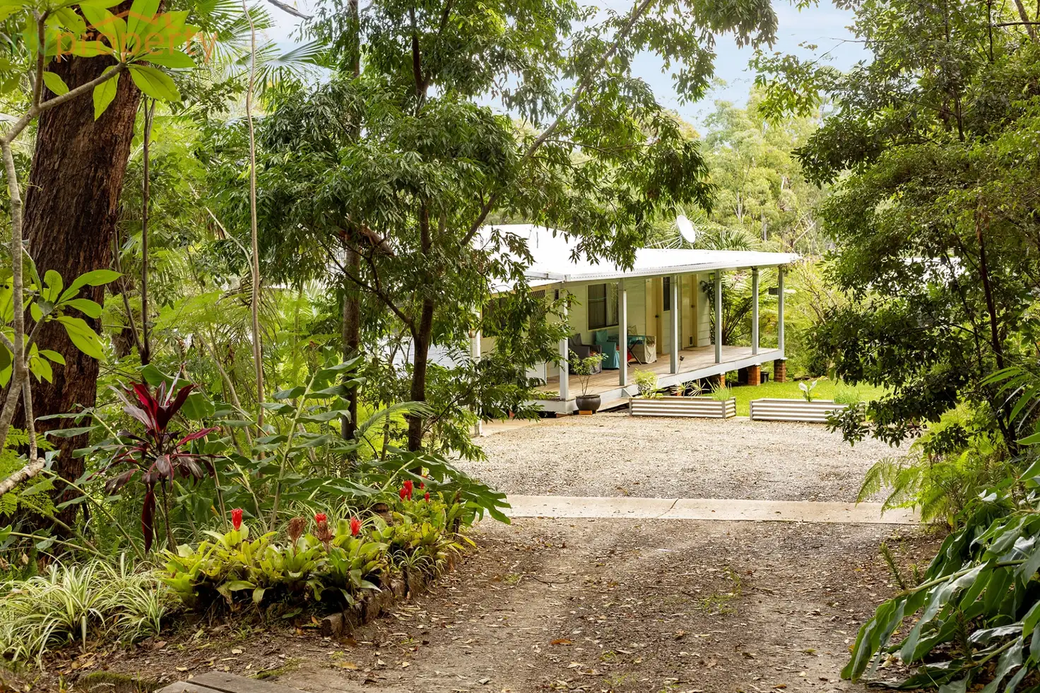 Main view of Homely rural property listing, 163 Richards Road, Newee Creek NSW 2447