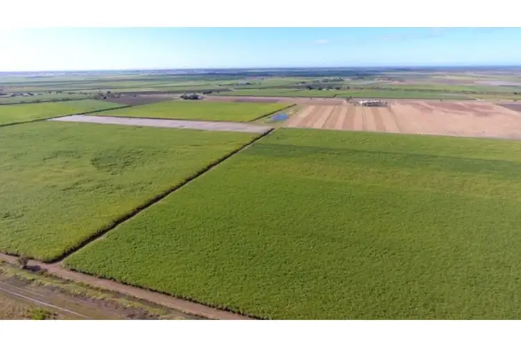 Second view of Homely rural property listing, 52 Linton Road, Fredericksfield QLD 4806