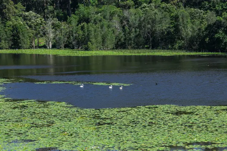 Third view of Homely land listing, LOT 7, 134 Rosella Drive, North Macksville NSW 2447