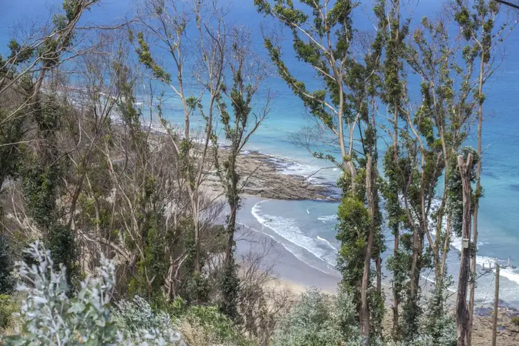 Main view of Homely land listing, 19 Dunoon Road, Wye River VIC 3221