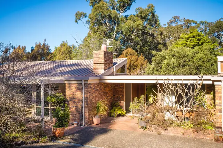 Third view of Homely house listing, 12 Casuarina Place, Tura Beach NSW 2548