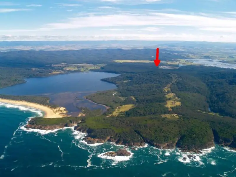 Main view of Homely rural property listing, 77 Wallagoot Lane, Wallagoot NSW 2550