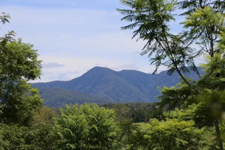 Second view of Homely house listing, 3 Coronation  Street, Bellingen NSW 2454