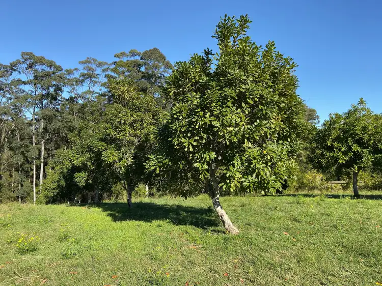 Second view of Homely rural property listing, 223 Congarinni Road South, Congarinni NSW 2447