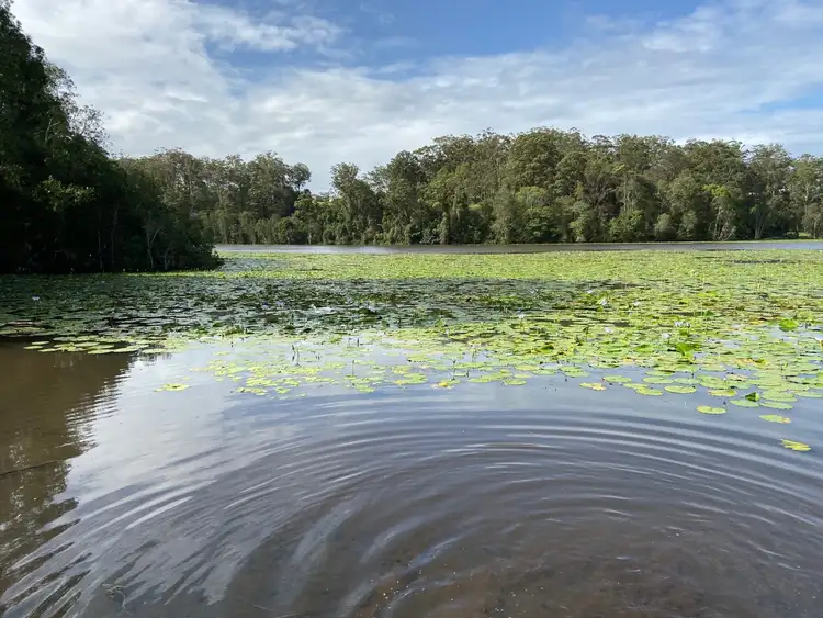 Fourth view of Homely land listing, Lot 12 Rosella Ridge Estate, North Macksville NSW 2447