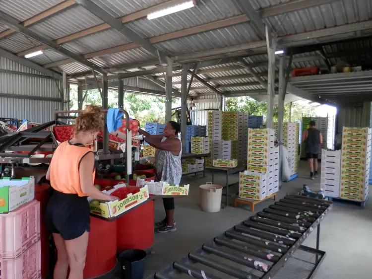 Second view of Homely rural property listing, 83-91 Kennedy  Street, Ayr QLD 4807