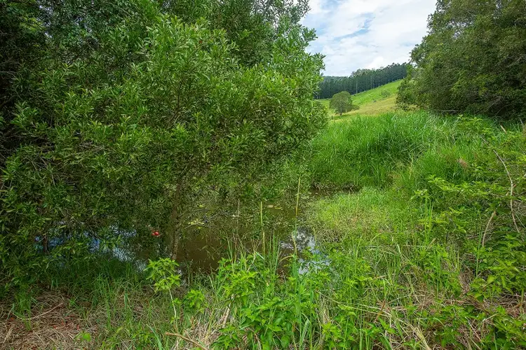 Sixth view of Homely land listing, 134 Bacon  Road, Cedar Pocket QLD 4570