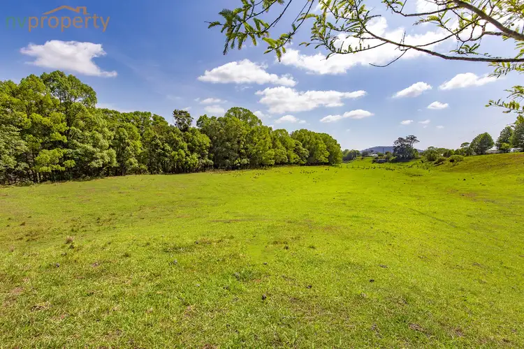 Third view of Homely rural property listing, 215 Giinagay Way, Warrell Creek NSW 2447