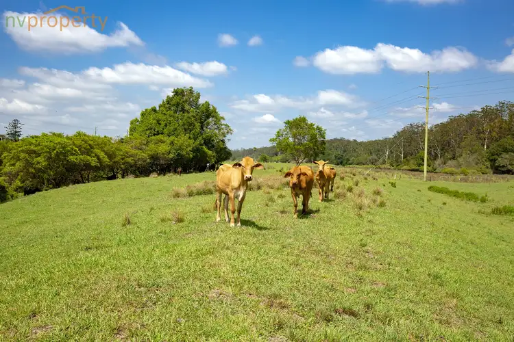 Sixth view of Homely rural property listing, 215 Giinagay Way, Warrell Creek NSW 2447