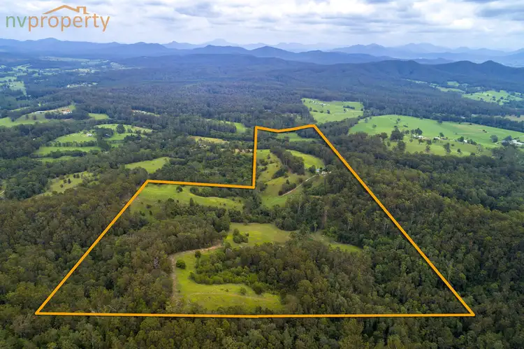 Main view of Homely rural property listing, 356 Browns Crossing Road, Eungai Creek NSW 2441