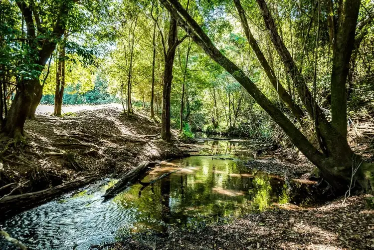Third view of Homely house listing, 575 Gympie Kin Kin Road, Kin Kin QLD 4571