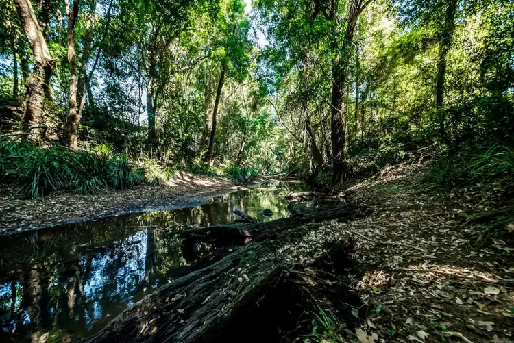 Fourth view of Homely house listing, 575 Gympie Kin Kin Road, Kin Kin QLD 4571