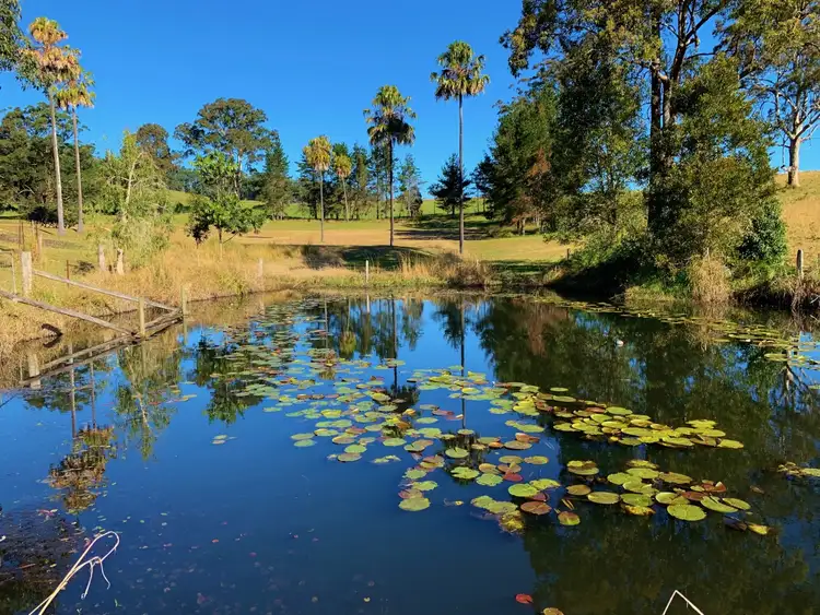 Third view of Homely other listing, 39 Hawks Road, Newee Creek NSW 2447