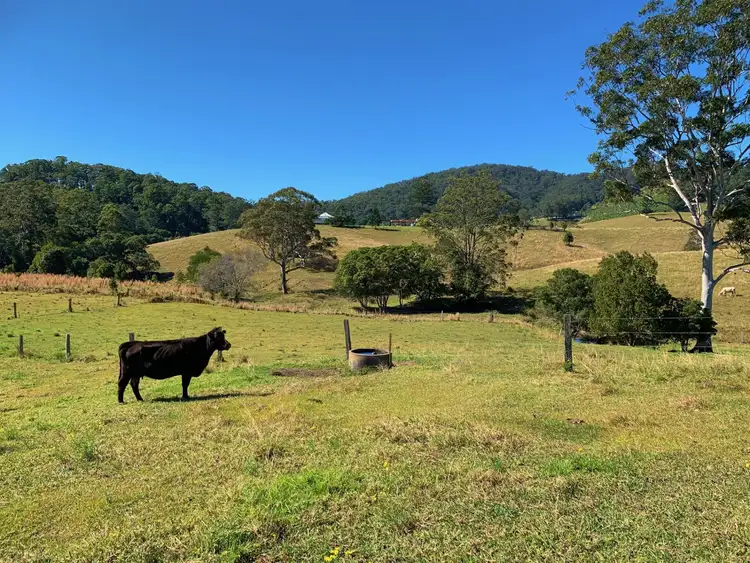 Sixth view of Homely rural property listing, 58 Cowins Avenue, Valla NSW 2448