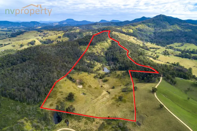 77 Whip Mountain Road, Yarranbella NSW 2447