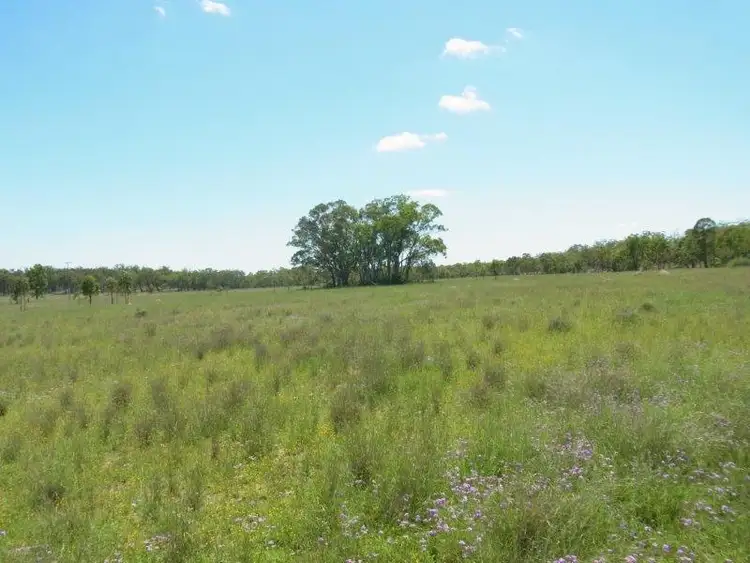 Seventh view of Homely rural property listing, 3203 Stonhenge  Road, Millmerran QLD 4357