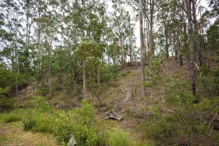 Seventh view of Homely land listing, 107 Bournda Park Way, Wallagoot NSW 2550