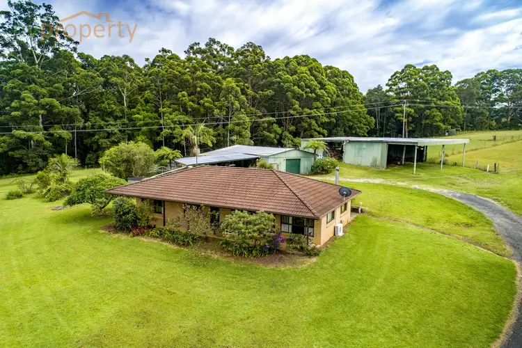 Second view of Homely rural property listing, 475 Stuarts Point Road, Yarrahapinni NSW 2441