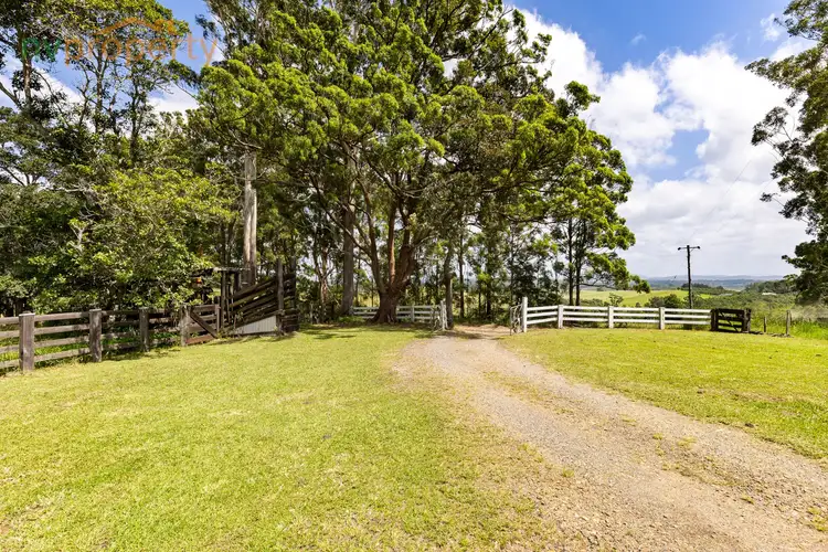 Third view of Homely rural property listing, 119 Jones Road, Eungai Rail NSW 2441