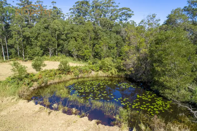 Fifth view of Homely rural property listing, 3423 Pacific  Highway, Eungai Creek NSW 2441
