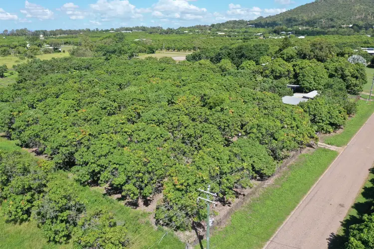Second view of Homely rural property listing, 25 Mount Kelly Drive, Mount Kelly QLD 4807