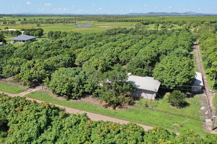 Third view of Homely rural property listing, 25 Mount Kelly Drive, Mount Kelly QLD 4807
