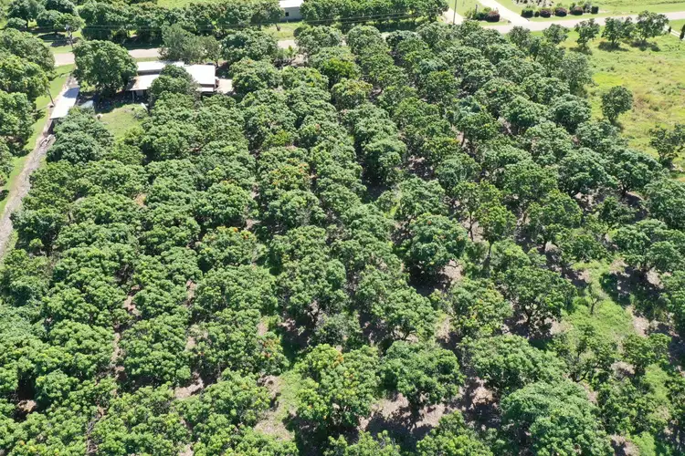 Fourth view of Homely rural property listing, 25 Mount Kelly Drive, Mount Kelly QLD 4807