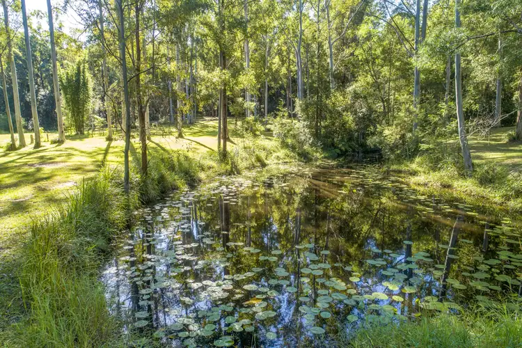 Sixth view of Homely house listing, 150 Allgomera Road, Allgomera NSW 2441