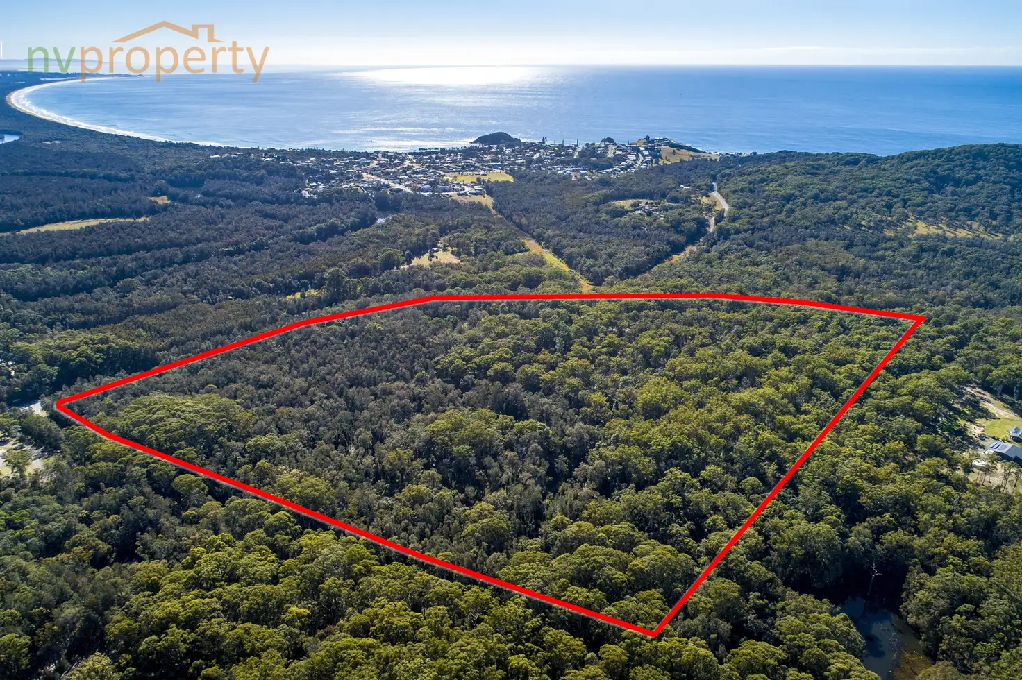 Main view of Homely rural property listing, 1004 Scotts Head Road, Way Way NSW 2447