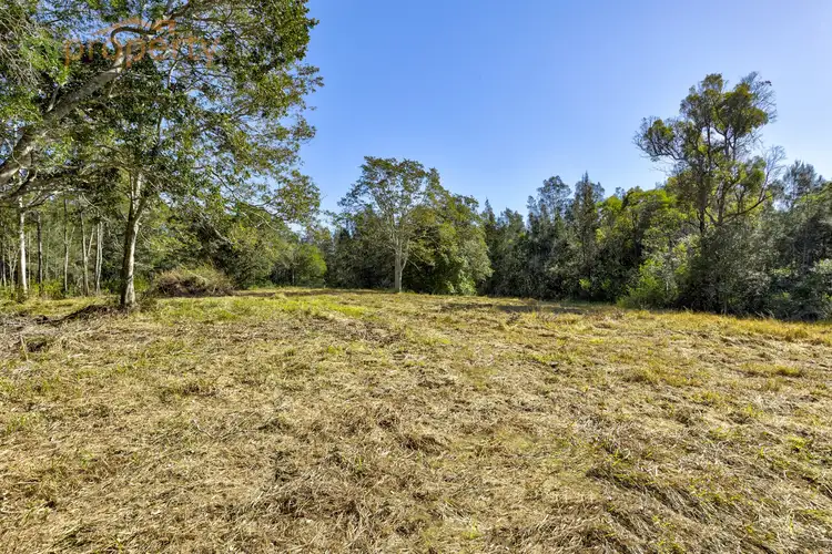 Fifth view of Homely rural property listing, 1004 Scotts Head Road, Way Way NSW 2447