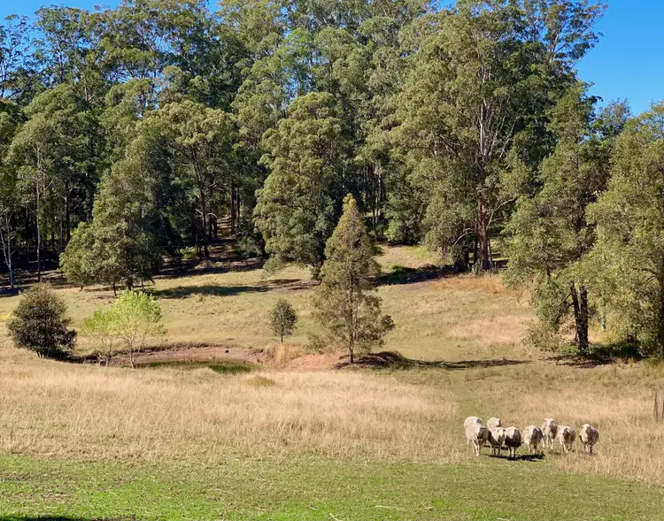 Fifth view of Homely other listing, 360 Wilson Road, Congarinni North NSW 2447