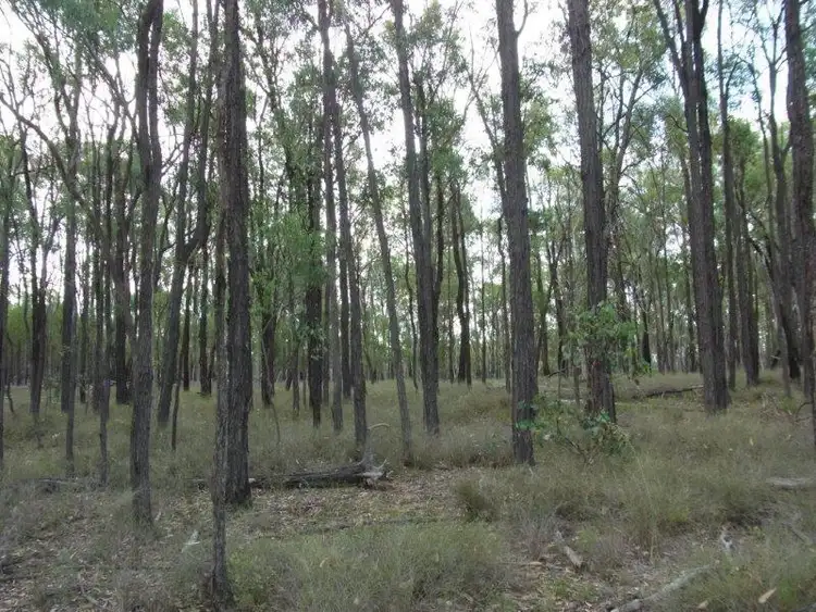 Seventh view of Homely rural property listing, Lot 216 Dights  Road, Millmerran QLD 4357