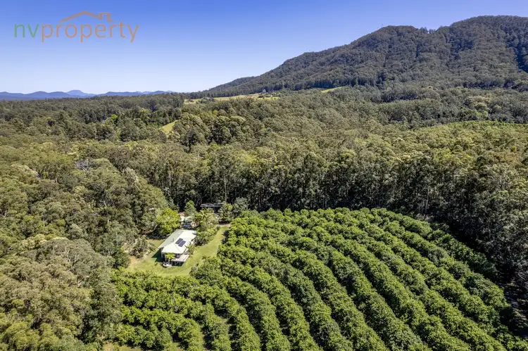 Second view of Homely rural property listing, 149 Browns Road, Yarrahapinni NSW 2441