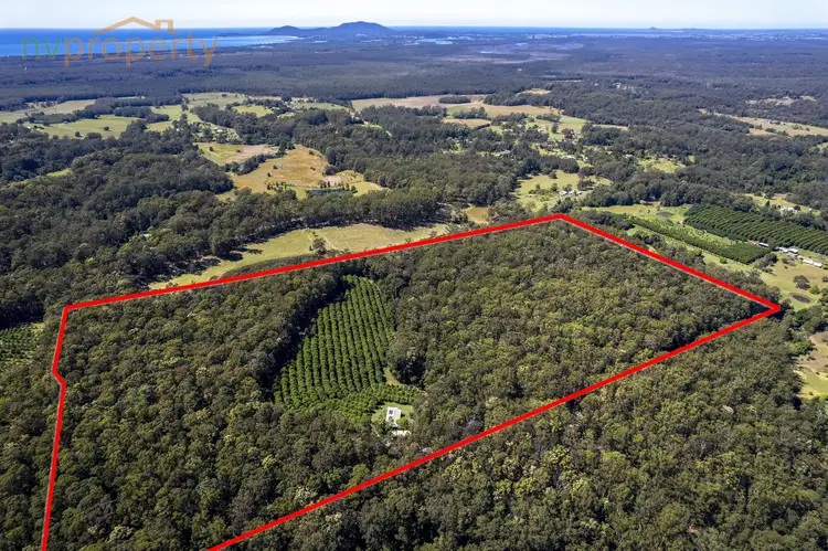 Third view of Homely rural property listing, 149 Browns Road, Yarrahapinni NSW 2441